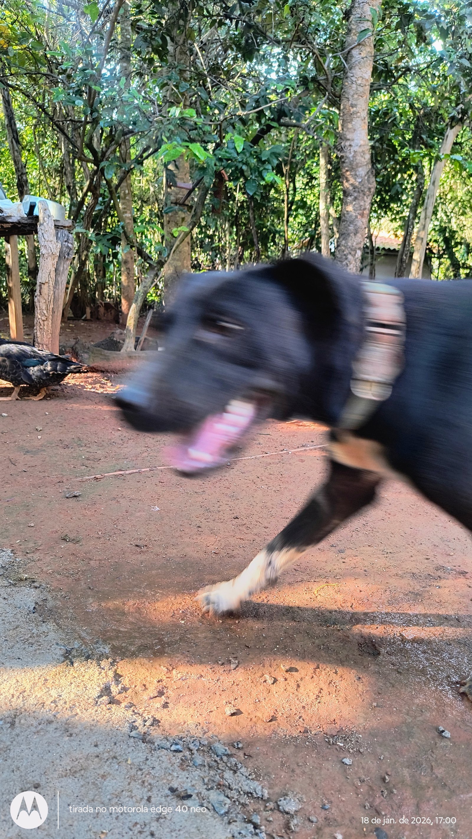 Imagem publicada por Admin Buriti+